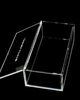 Acrylic Box with Needle-Hinge Lid