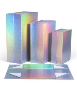 Custom Glossy Holographic Mailer Box