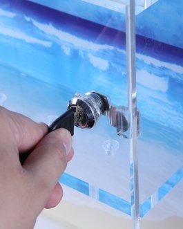 Elegant Ocean-Themed Acrylic Display Case with Secure Lock