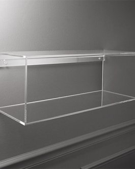 Sleek Wall-Mounted Acrylic Shelf Display